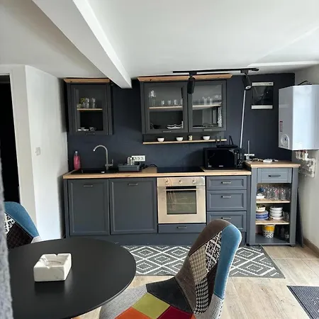 Ranimy Holiday home Petrosani